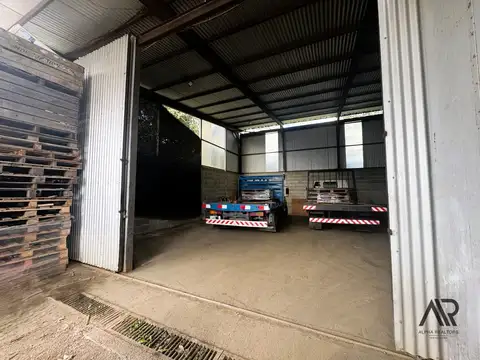 Juan P. Lamolle 1800