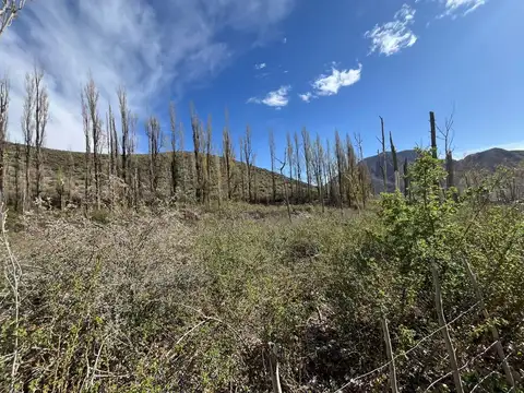 Terreno en Venta de 1500,0 m2