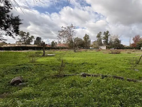 Terreno en Venta de 1517,0 m2
