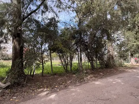 Terreno en Venta en Bella Vista, USD 230.000