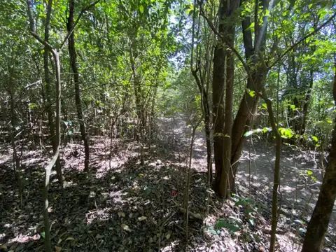 Terreno en Venta en Salsipuedes, USD 58.000