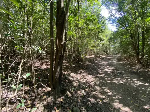 VENTA Lote en Salsipuedes una hectárea a un precio IMPERDIBLE! ACEPTA FINANCIACIÓN