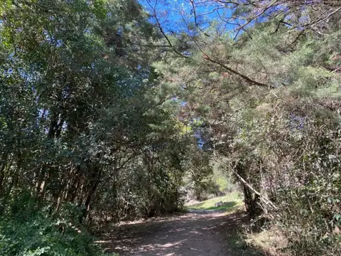 Terreno en Venta de 11534,0 m2