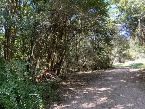 Terreno en Venta de 11534,0 m2