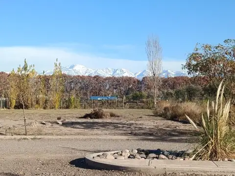 Venta lote 960 mts, B° Privado, Perdriel Mendoza