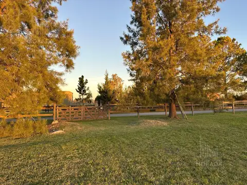 Terreno en Venta de 5005,0 m2