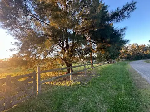 VENTA LOTE de 5000 m2. OPORTUNIDAD ÚNICA por UBICACIÓN y por VALOR DE VENTA.