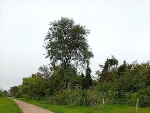 1 HECTAREA EN MARGARITA BELEN