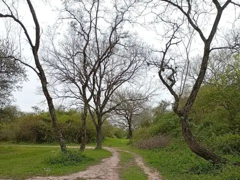 Terreno en Venta de 10000,0 m2