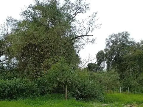 Terreno en Venta en Margarita Belén, USD 45.000