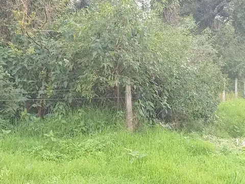 Terreno en Venta en Margarita Belen, 1 de Mayo