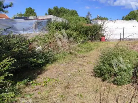 Terreno en Venta en Punta del Este, USD 110.000