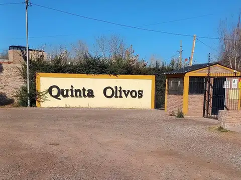 VENTA 2 LOTES B° QUINTA OLIVOS EL ALGARROBAL MZA