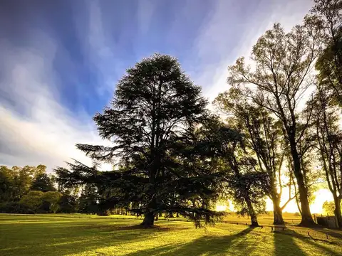 Terreno en Venta de 3404,0 m2