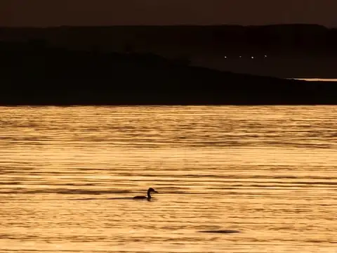 Ruta Provincial N16 y Las Turberas, El Carrizal, Luján de Cuyo, Mendoza