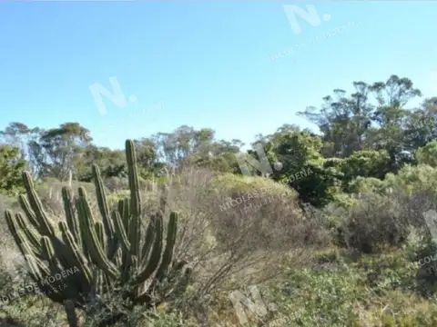 Terreno en Venta de 1013,0 m2