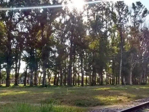 El Rodeo