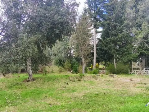 Terreno en Venta en Puerto, USD 105.000