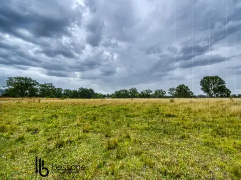 Terreno en Venta de 512,0 m2