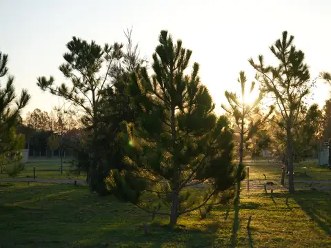 Terreno en Venta de 2826,0 m2