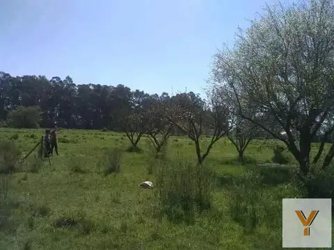 Terreno en Venta en Lisandro Olmos Etcheverry, USD 27.000