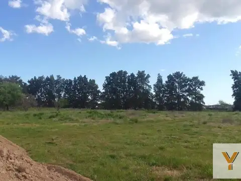 Terreno en Venta 44  mts Frente