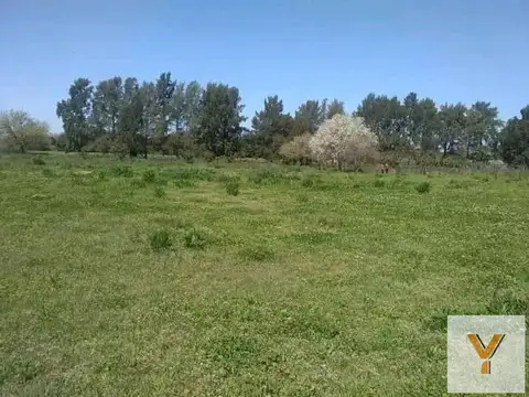 Terreno en Venta 60  mts Fondo