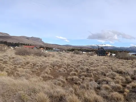las marias del valle 100