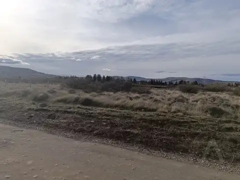 las marias del valle 100