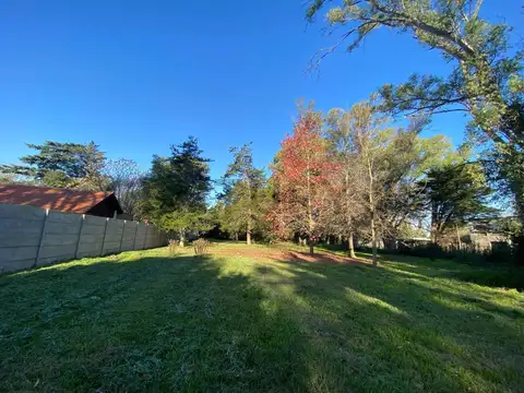 Terreno en venta Villa Elisa sobre Av. Arana