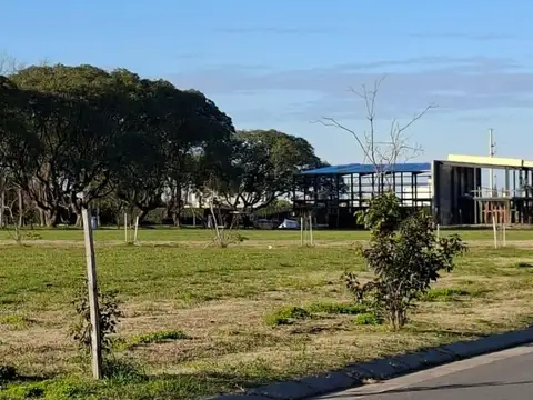 Terreno en Alquiler 15  mts Frente