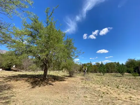 Quinta en Las Chacras.