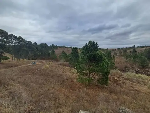 Terreno en Venta en Villa Berna, USD 42.000