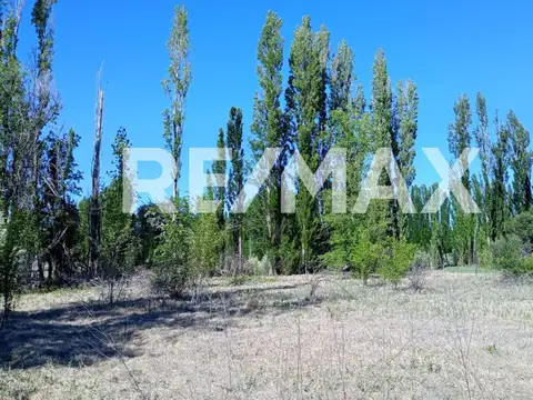 VENTA DE CHACRA EN CIPOLLETI SOBRE RUTA 151