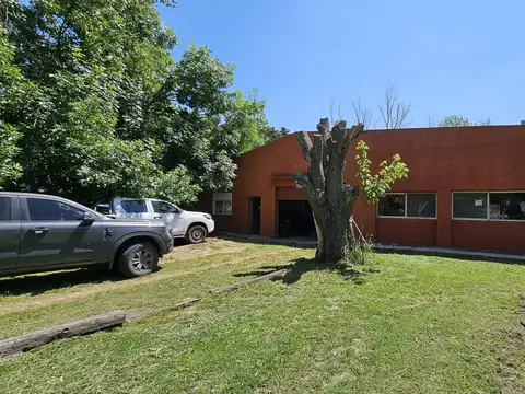 Chacra en venta con mejoras y arboleda en Chenaut