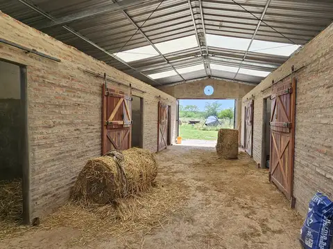 Chacra en venta con mejoras y arboleda en Chenaut