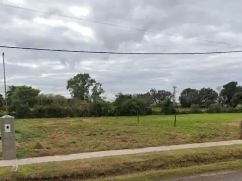 Lisandro De La Torre 600