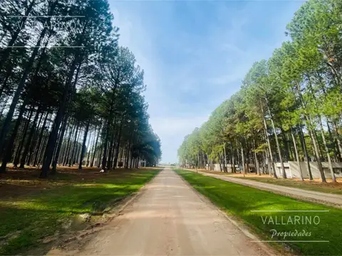 Terreno en Venta 20  mts Fondo