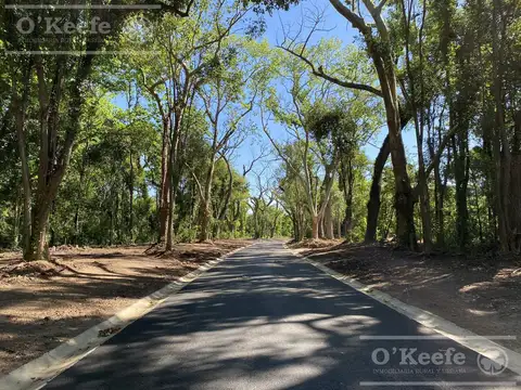 Terreno en venta en Barrio Reserva Fincas Hudson Berazategui