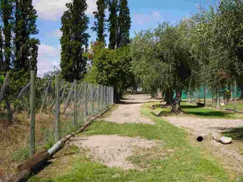 Terreno en Venta de 3675,0 m2