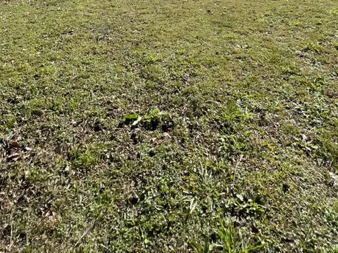 Terreno en Venta 10  mts Frente