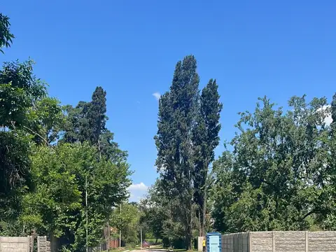 Lisandro de la Torre 4600