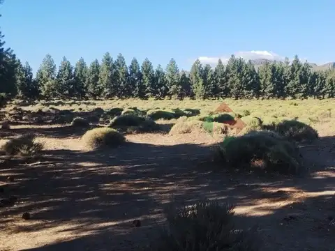 Terreno en Venta en Pilcaniyeu, USD 550.000