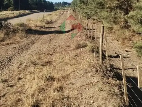 Terreno en Venta de 32000,0 m2