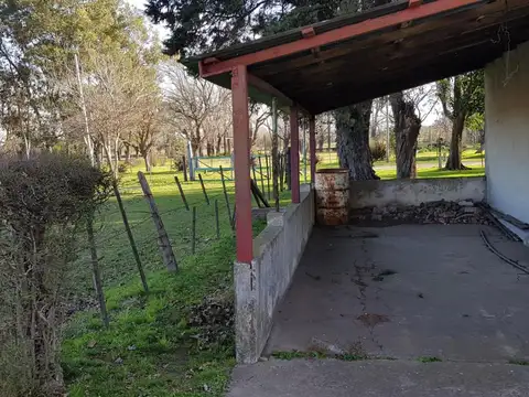 Batalla De Cancha Rayada 100