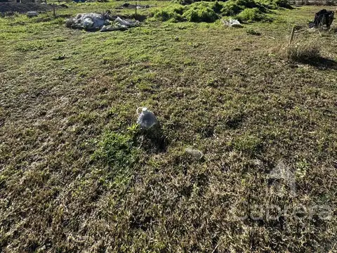 Terreno en Alquiler en La Plata, $ 400.000