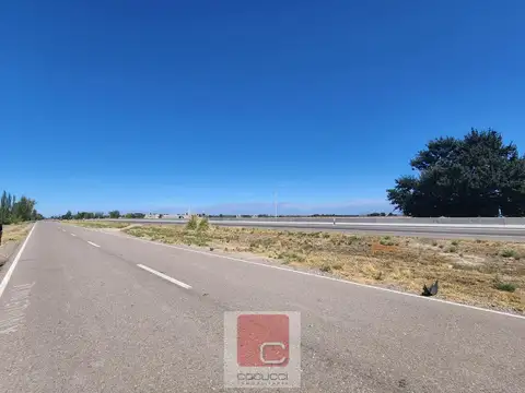 Ruta 40 S/N, Valle De Uco
