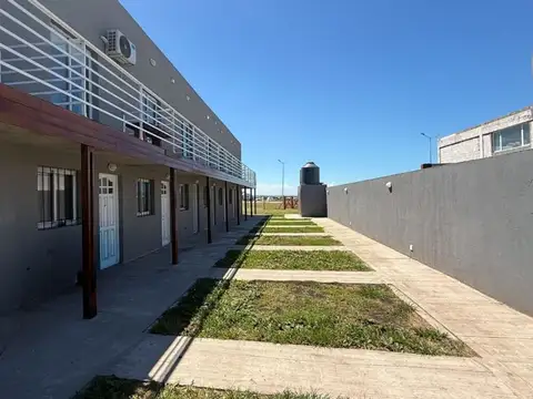El Chingolo 100