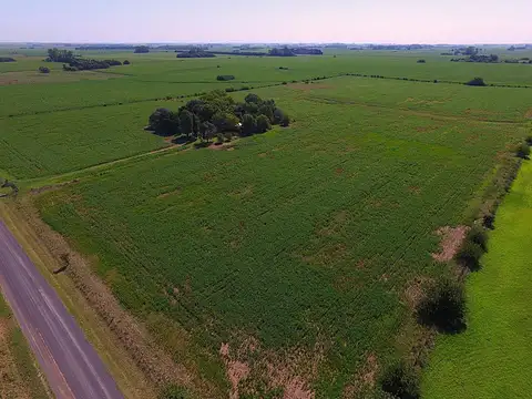 16 hectáreas casa luz arboleda acceso internet