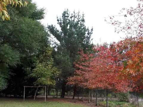 Campo en venta - 99.934Mts2 - General Pueyrredón